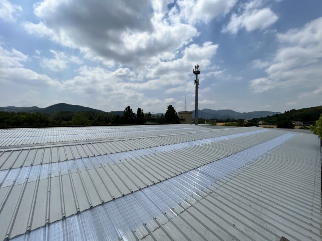 Coperture Industriali 3