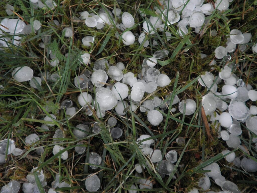 danni della grandine alle coperture industriali